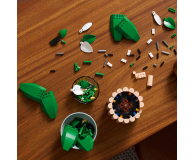 LEGO BOTANICALS 11504 Skrzydłokwiat - 1473410 - zdjęcie 5